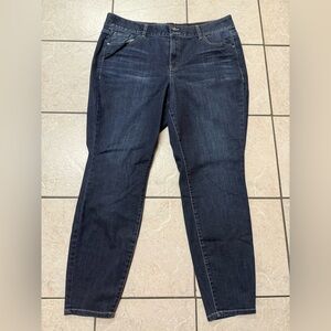 Lane Bryant Plus Size 20 Dark Wash Tummy Control Skinny Jeans